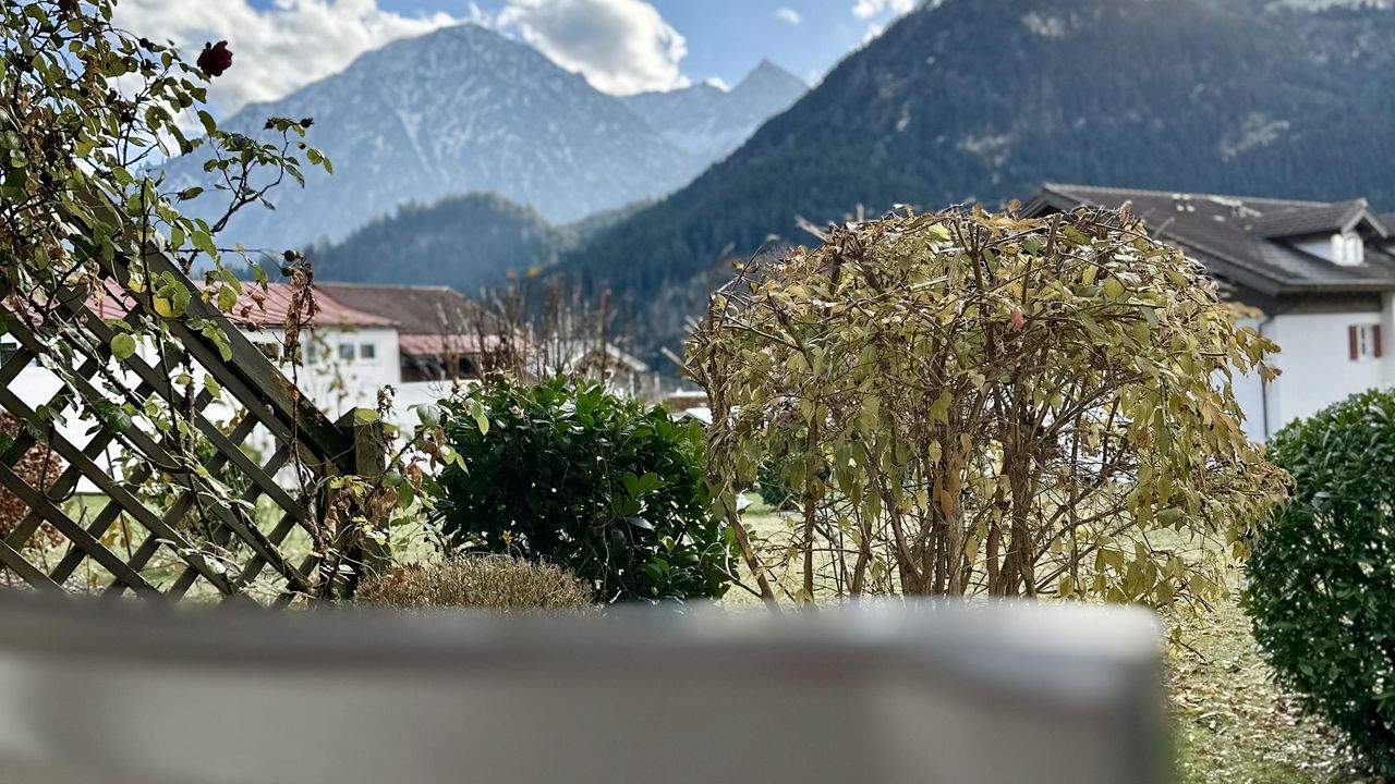 image00007 image00007